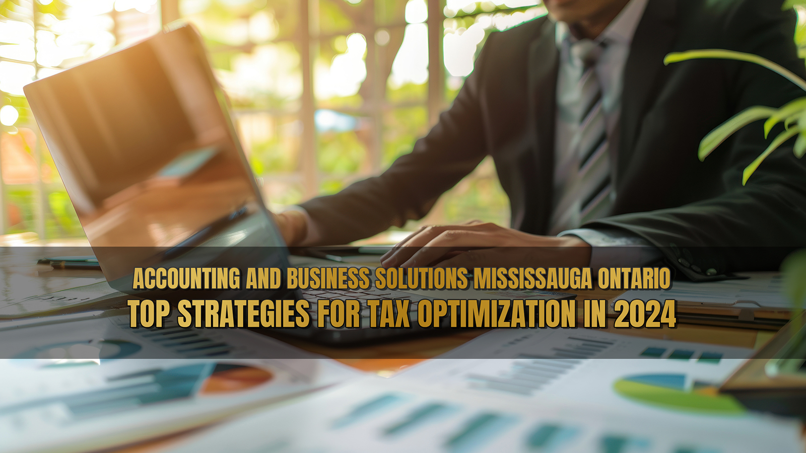 Accounting and Business Solutions